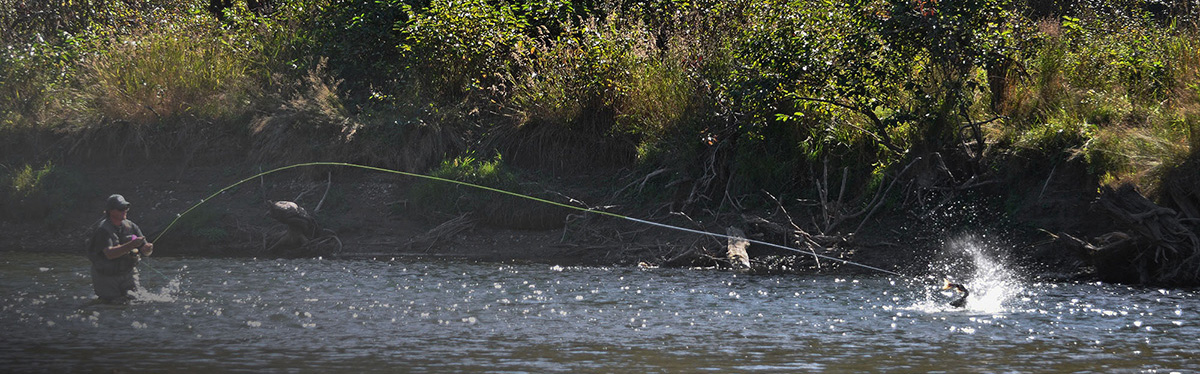 Skeena River Fishing Packages
